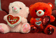 Load image into Gallery viewer, Light Up 10” Teddy Bears