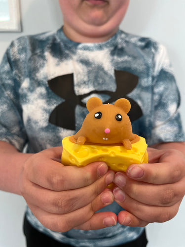 Mouse & Cheese Fidget