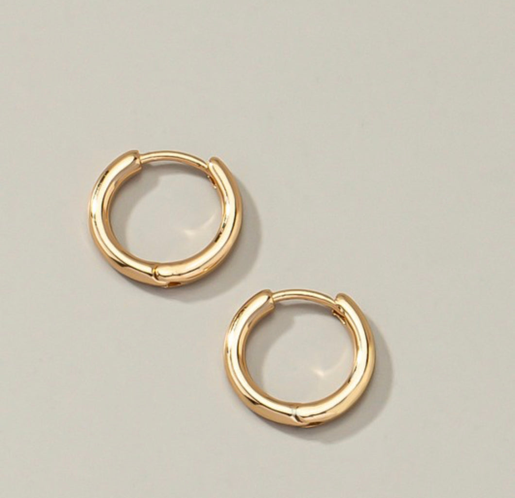 Tiny Hoop Earrings